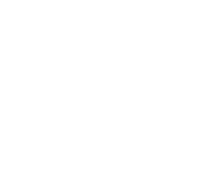 Ben Flay, Investment Director