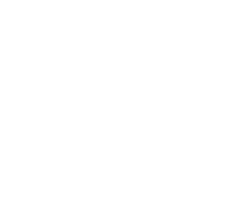 Brigitte de Lambert, Investment Manager