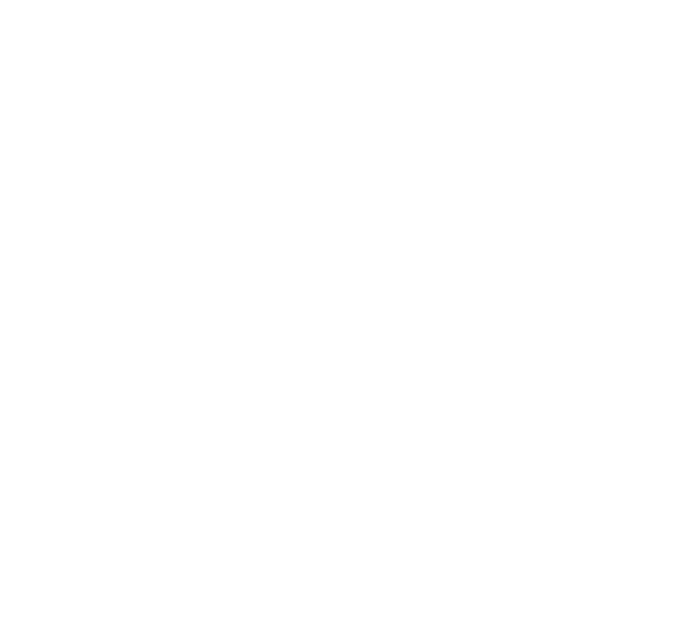 Craig Styris, Executive Director