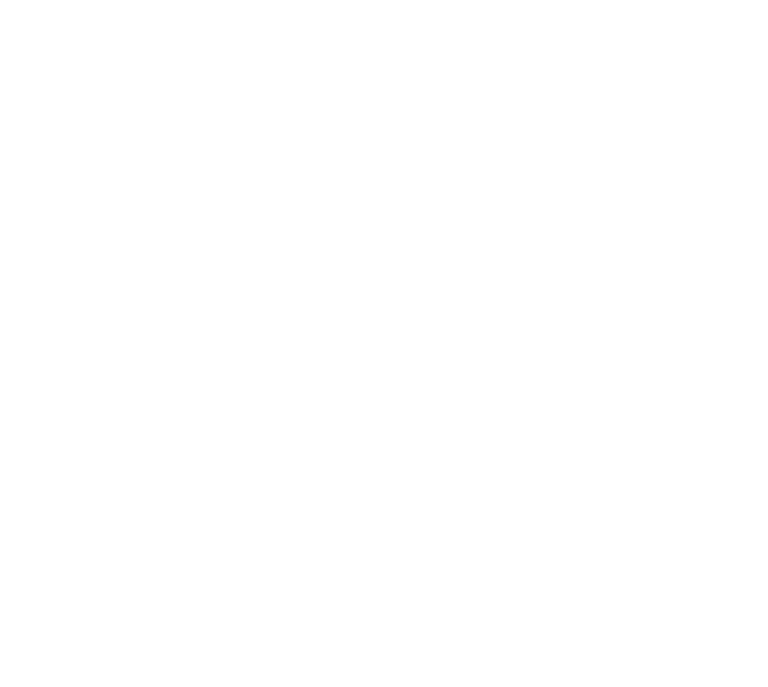 Liesl MacDonald, Strategic Projects Partner